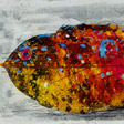 一葉扁魚(年年有魚)   