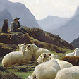 山丘景色 A Shepherd and Sheep, on the Canfranc Hill in the Pyrenees