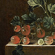 紅醋栗 Groseilles disposées sur un entablement