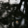 水觀4